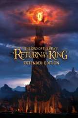 The Lord of the Rings: The Return of the King poster 8