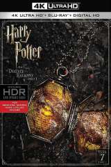 Harry Potter and the Deathly Hallows: Part 1 poster 27