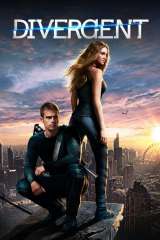 Divergent poster 9