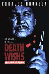 Death Wish V: The Face of Death poster 13