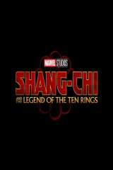 Shang-Chi and the Legend of the Ten Rings poster 22