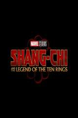 Shang-Chi and the Legend of the Ten Rings poster 22