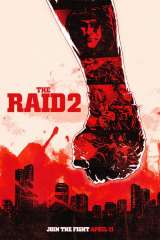 The Raid 2 (2014)