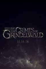 Fantastic Beasts: The Crimes of Grindelwald poster 17