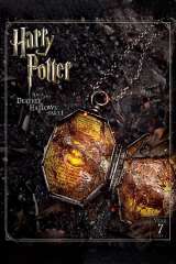 Harry Potter and the Deathly Hallows: Part 1 poster 28