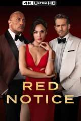 Red Notice poster 13