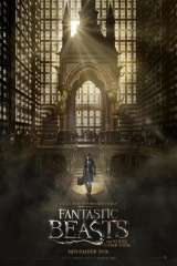 Fantastic Beasts and Where to Find Them poster 13