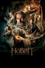 The Hobbit: The Desolation of Smaug poster 16
