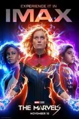 The Marvels poster 47