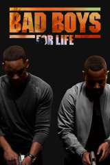 Bad Boys for Life poster 13