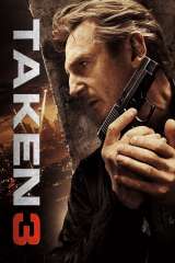 Taken 3 poster 9