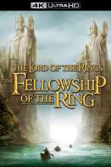 The Lord of the Rings: The Fellowship of the Ring poster 4