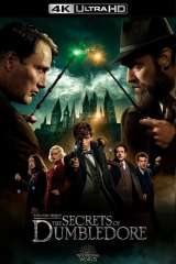 Fantastic Beasts: The Secrets of Dumbledore poster 28