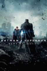 Batman v Superman: Dawn of Justice poster 11