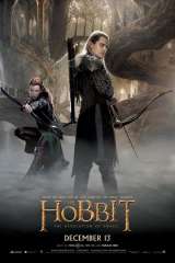 The Hobbit: The Desolation of Smaug poster 24