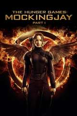 The Hunger Games: Mockingjay - Part 1 poster 11