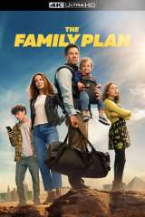 The Family Plan poster 6