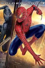 Spider-Man 3 poster 11