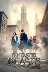 Fantastic Beasts and Where to Find Them poster 21