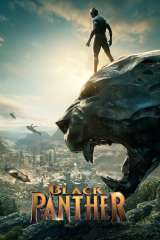 Black Panther poster 11