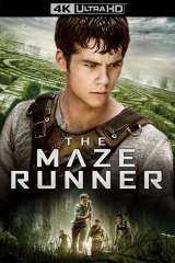 The Maze Runner poster 1