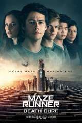 Maze Runner: The Death Cure poster 5