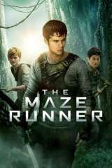 The Maze Runner poster 22