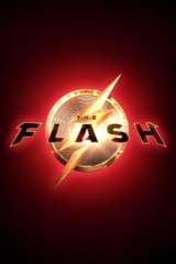 The Flash poster 76