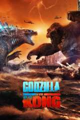 Godzilla vs. Kong poster 16