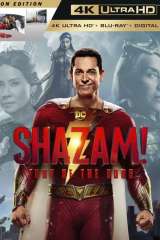 Shazam! Fury of the Gods (2023)