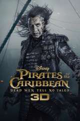 Pirates of the Caribbean: Dead Men Tell No Tales poster 25
