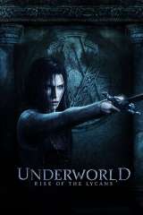 Underworld: Rise of the Lycans poster 13