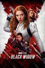 Black Widow poster 30