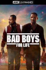 Bad Boys for Life poster 25
