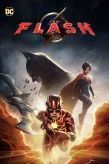 The Flash poster 18