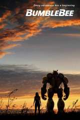 Bumblebee poster 8