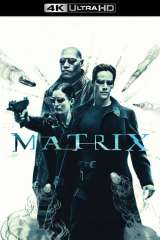 The Matrix poster 43