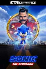 Sonic the Hedgehog poster 11