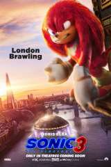 Sonic the Hedgehog 3 poster 25