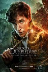 Fantastic Beasts: The Secrets of Dumbledore poster 23