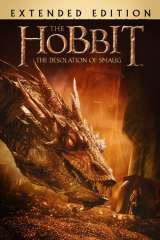 The Hobbit: The Desolation of Smaug poster 13