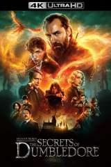 Fantastic Beasts: The Secrets of Dumbledore poster 7