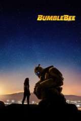 Bumblebee poster 5