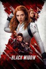 Black Widow poster 31