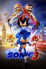Sonic the Hedgehog 3 poster 116