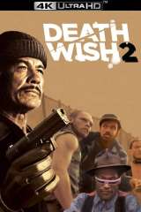 Death Wish II poster 8