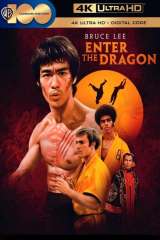 Enter the Dragon poster 32