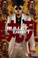 Bullet Train poster 17