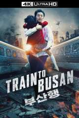 Train to Busan poster 6