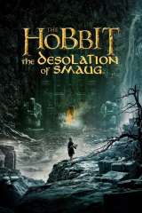 The Hobbit: The Desolation of Smaug poster 33